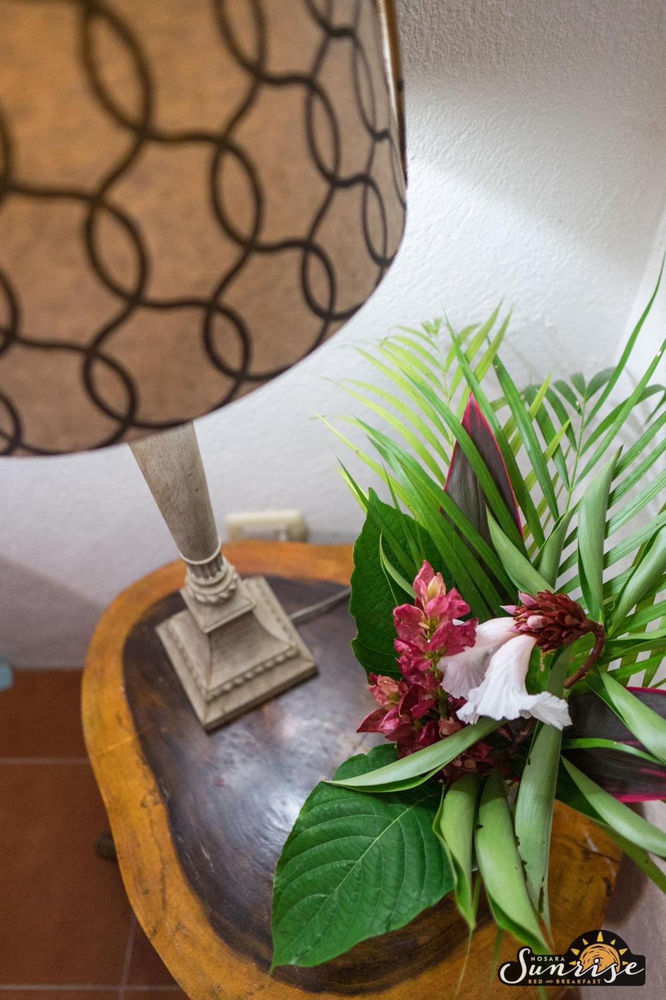 Nosara Sunrise Bed And Breakfast 部屋 写真